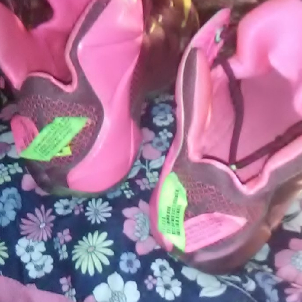 Lebrons - Picture 5 of 5